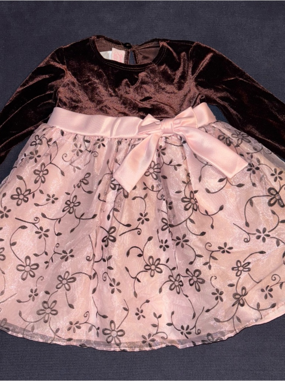 Jessica Ann Pink and Brown Velvet Floral Tulle Dress